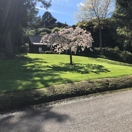 Cherrywood Cottage Akaroa Luaran gambar