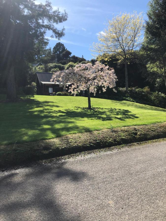Cherrywood Cottage Akaroa Luaran gambar